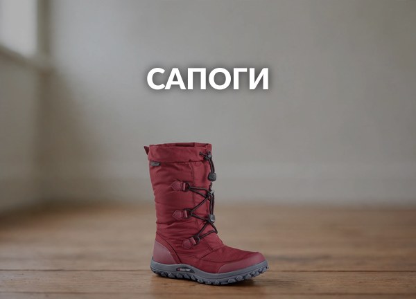 Сапоги