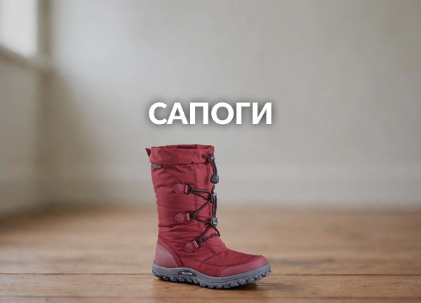 Сапоги
